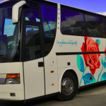 Bus turistici per ischia