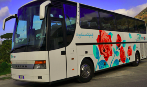 Bus turistici per ischia