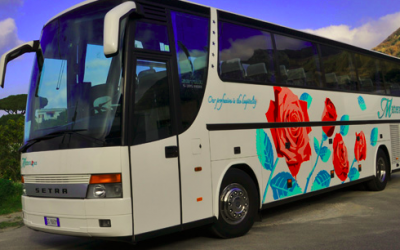 Bus turistici per ischia